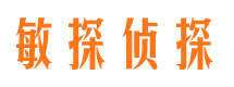 平武市侦探